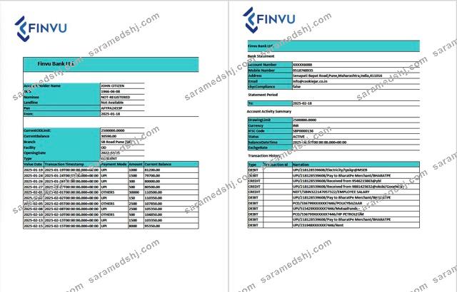 India Finvu Bank Ltd. account statement Word and PDF template, 2 pages